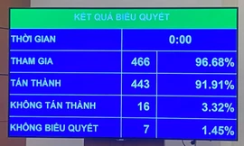 Quốc hội biểu quyết thông qua Luật Bảo vệ môi trường (sửa đổi) với đa số đại biểu tán thành