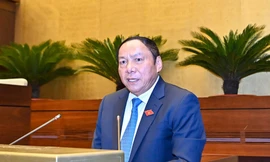 Bộ Văn hoá chưa thật sự quan tâm đến lĩnh vực gia đình?