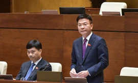 Sau loạt vụ đấu giá 'trên trời' rồi bỏ cọc, sẽ xem xét bổ sung chế tài