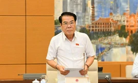 Trưởng Ban Dân nguyện Dương Thanh Bình. Ảnh QH