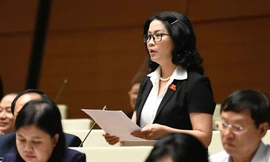 GS.TS Nguyễn Thị Lan: Cần cơ chế đặc thù để mở ngành đào tạo phòng chống thiên tai