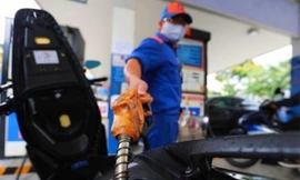 Giá xăng tăng cao nhất 7 năm qua, đại biểu Quốc hội nói gì?