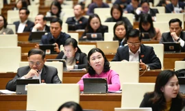 Có nên 'bình thường hóa' kỳ họp bất thường?