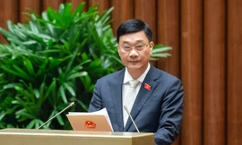 Tình trạng sở hữu chéo, thao túng, lợi ích nhóm trong lĩnh vực ngân hàng 'rất đáng lo ngại'