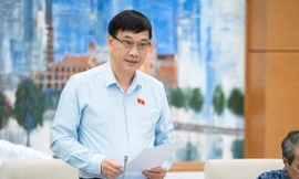 'Lũng đoạn, tạo sóng, thổi giá đất' khiến việc mua bán chỉ diễn ra trong giới đầu cơ