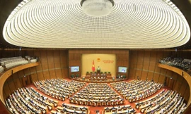 Công bố kết quả trúng cử ĐBQH chậm nhất là 20 ngày sau ngày bầu cử