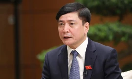 Quốc hội xem xét, quyết định bổ sung thông tin 'nơi sinh' vào hộ chiếu mới 