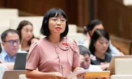 Đại biểu Quốc hội: 'Luật nào cũng đề nghị thành lập quỹ thì hiệu quả chưa cao'