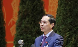 Ông Bùi Thanh Sơn, Ủy viên Trung ương Đảng, Thứ trưởng thường trực Bộ Ngoại giao