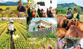 Yêu cầu đề xuất tiêu chí xác định người có thu nhập thấp