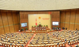 Người giới thiệu để bầu ĐBQH chuyên trách phải có quy hoạch ĐBQH chuyên trách hoặc quy hoạch chức danh thứ trưởng và tương đương trở lên