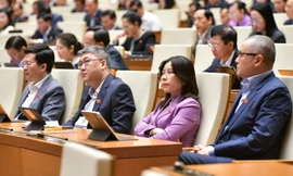 Chính phủ đề xuất phân bổ 2.526 tỷ đồng để EVN cấp điện cho huyện Côn Đảo