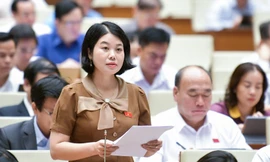 Đề nghị nghiêm cấm tự ý ‘lập chốt thu phí’ đường bộ 