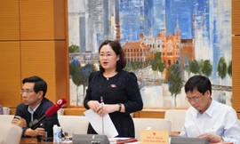 'Háo hức đến thăm Làng Văn hóa, nhưng lúc ra về thấy rất buồn'