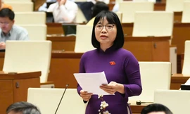 Hiểm họa lâu dài khi ‘cái giả lên ngôi, gian dối được dung túng’