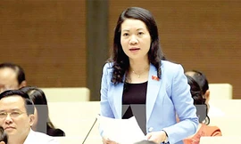 Đại biểu Quốc hội Mai Thị Phương Hoa, Uỷ viên Thường trực Uỷ ban Tư pháp