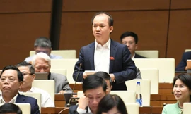 Không thể chỉ nhìn vài ba nghệ sĩ sống xa hoa mà tưởng nền nghệ thuật Việt Nam giàu có