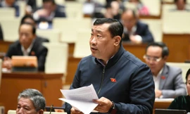 Làm rõ tiêu chí về 'mức độ vi phạm' để tạm đình chỉ đại biểu Quốc hội 