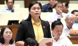 Đại biểu Quốc hội đề nghị lùi thông qua Luật BHXH sau thời điểm cải cách tổng thể tiền lương