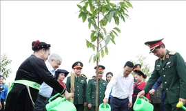 Chủ tịch nước phát động Tết trồng cây nhớ ơn Bác Hồ 
