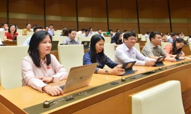 Cải cách tiền lương, chưa thông qua Luật Đất đai là những sự kiện tiêu biểu của Quốc hội 