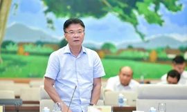 Còn tình trạng thông đồng, móc nối, lợi dụng các tổ chức 'sân sau' để đấu giá 