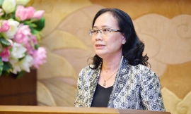 Công bố nghị quyết sáp nhập huyện, xã của 21 tỉnh, thành phố 