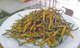 Quà bồi bổ sức khỏe tiền tỷ biếu sếp bán chạy