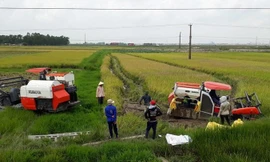 Luật sư Đặng Văn Cường cho biết, không có bất cứ quy định, hay pháp luật nào quy định về dịch vụ máy gặt lúa công nghiệp.