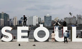 Dư lượng viagra cao bất thường trong nước tại Seoul