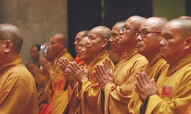 Dấn thân như… tăng ni