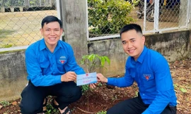 Vườn cây thanh niên giúp đoàn viên phát triển kinh tế