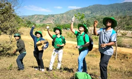 Nhóm bạn trẻ tái sinh rừng, trồng cây giống tạo sinh kế cho bà con
