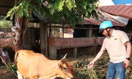 ‘Chìa khoá’ giúp bà con dân tộc thiểu số phát triển kinh tế