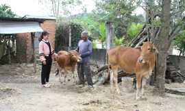 Những nữ trưởng buôn 9X cùng người dân xây dựng buôn làng, phát triển kinh tế