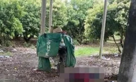 Phát hiện một nhân viên giao hàng tử vong gần một chòi rẫy