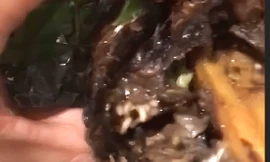 Dòi bò lúc nhúc trong cá lóc nướng: Sẽ xử phạt chủ tiệm