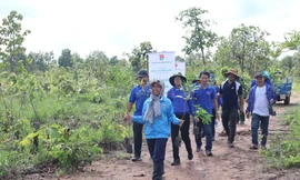 Giúp thanh niên dân tộc thiểu số tiếp cận pháp luật và nguồn vốn