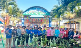 Hành động xanh của tuổi trẻ Đắk Lắk