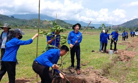 Tuổi trẻ Đắk Lắk bảo vệ môi trường