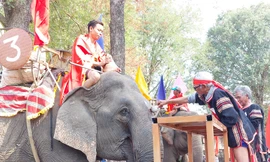 Đặc sắc lễ cúng sức khỏe cho voi