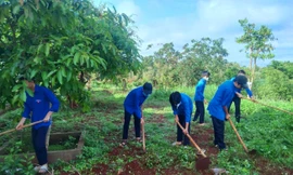 Nhiều thông điệp bảo vệ môi trường tại Ngày Chủ nhật xanh