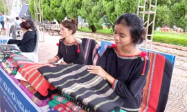 Hàng trăm thanh niên dân tộc thiểu số được hỗ trợ phát triển kinh tế