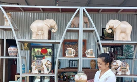 Bộ sưu tập tượng voi cổ độc nhất vô nhị ở Đắk Lắk