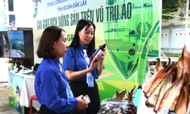 Tỉnh Đoàn Đắk Lắk đặt mục tiêu hỗ trợ thanh niên vay vốn 15 tỉ đồng