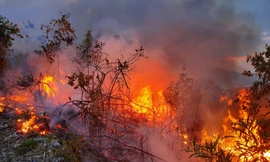 Hiện tượng lạ: Mặt đất tự bốc cháy liên tục ở Đắk Lắk