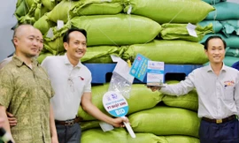 Lần đầu tiên đấu giá cà phê đặc sản tại Việt Nam