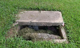 Hiểm họa từ những hố ga 'tử thần' trên đường Hà Nội