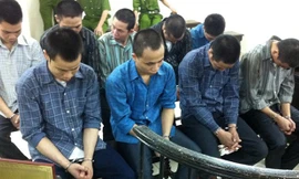 Nhóm trộm sưa tại phiên tòa ngày 24/9