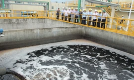 Nước thải của Formosa đã đáp ứng được các quy chuẩn?